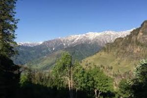 Manali Sanctuary