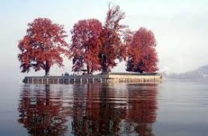 Char Chinar