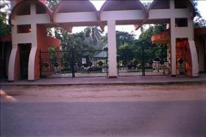 Manas National Park Safari Tour Package