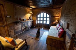Top 10 Pet-Friendly Hotels in Shimla