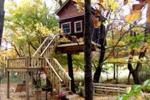 Stay in Tree house 